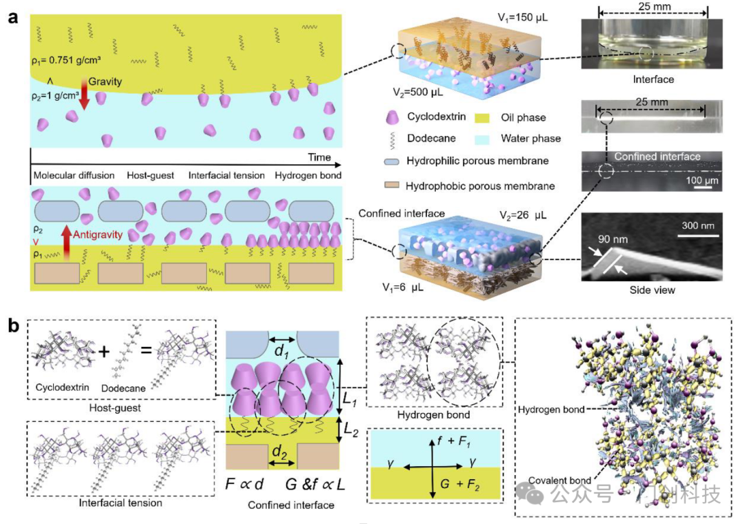 反重力限域界面自组装策略示意图